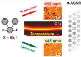 On+Surface+Growth+Dynamics+of+Graphene+Nanoribbons+The+Role+of+Halogen+Functionalization.jpg