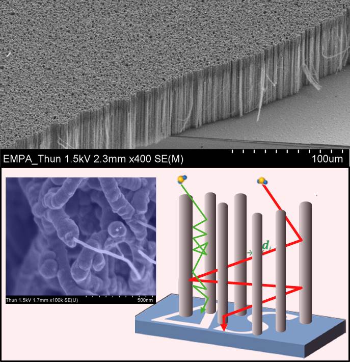 Molecular_Low+Dimensional+Materials.jpg