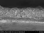 /documents/55912/180054/Research_Micro-+and+Nanopattering+_Bioactive+coatings+_small.jpg/3f5e71fe-c6ef-4ecc-878b-60a70f8e77a6?t=1447672465600