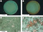 /documents/55912/180054/Research_Micro-+and+Nanopattering+_Physico-Chemical+interactions_small.jpg/14df9821-096e-4d85-8701-933456036e2d?t=1447672669510