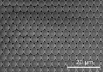 /documents/55912/180054/Research_Micro-+and+Nanopattering+_Surface+patterning+_small.jpg/3aa9e150-95a5-496d-8f45-d5e52663d18c?t=1447672734947