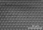 /documents/55912/180054/Research_Micro-+and+Nanopattering+_Surface+patterning+_small.jpg/3aa9e150-95a5-496d-8f45-d5e52663d18c?t=1447672734947
