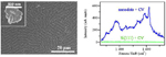 /documents/55912/180098/Research_Microstructural+analyses+_Surface-enhanced+Raman_small.jpg/736f2dfd-9805-44c0-a68e-2194a6457606?t=1447259853603