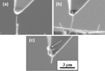 /documents/55912/180098/Research_Microstructural+analyses+_Tip-enhanced+Raman+_small.jpg/2c045525-85ba-4afa-98fd-4a528464c27d?t=1447259873867