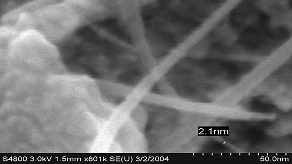Cooperations_Services_Electron+Microscopy++_big.jpg