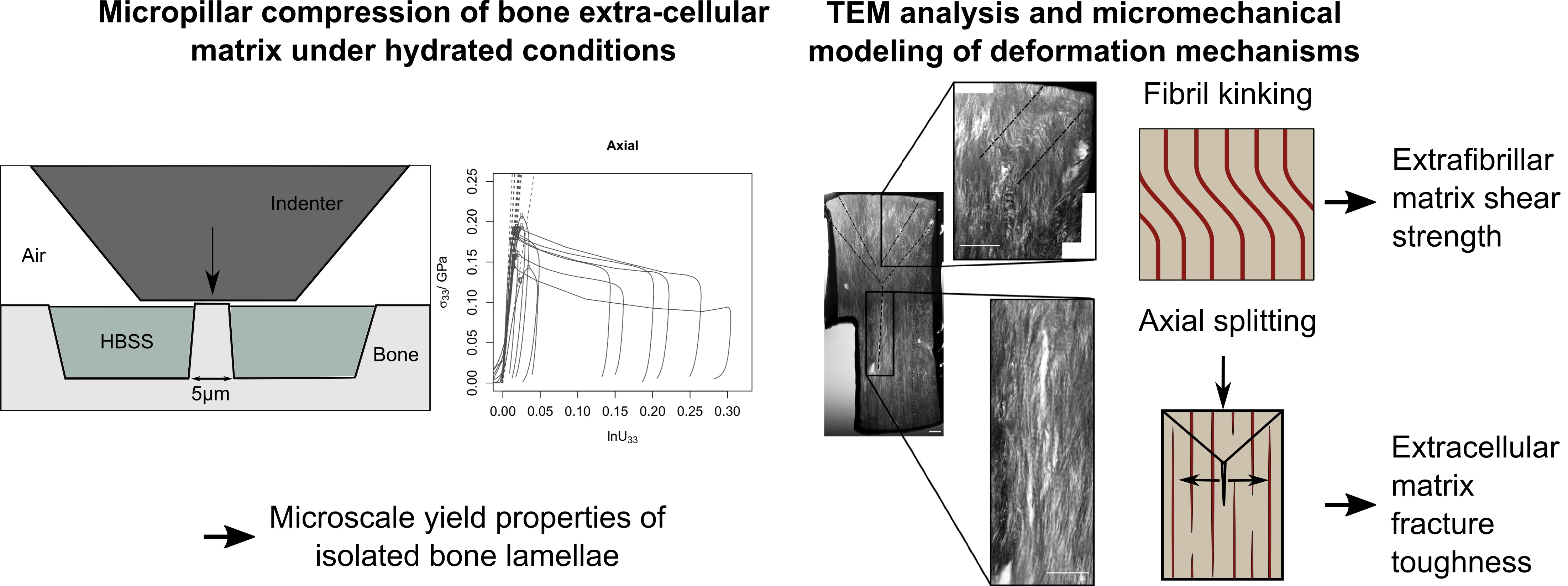 Figure3.jpg