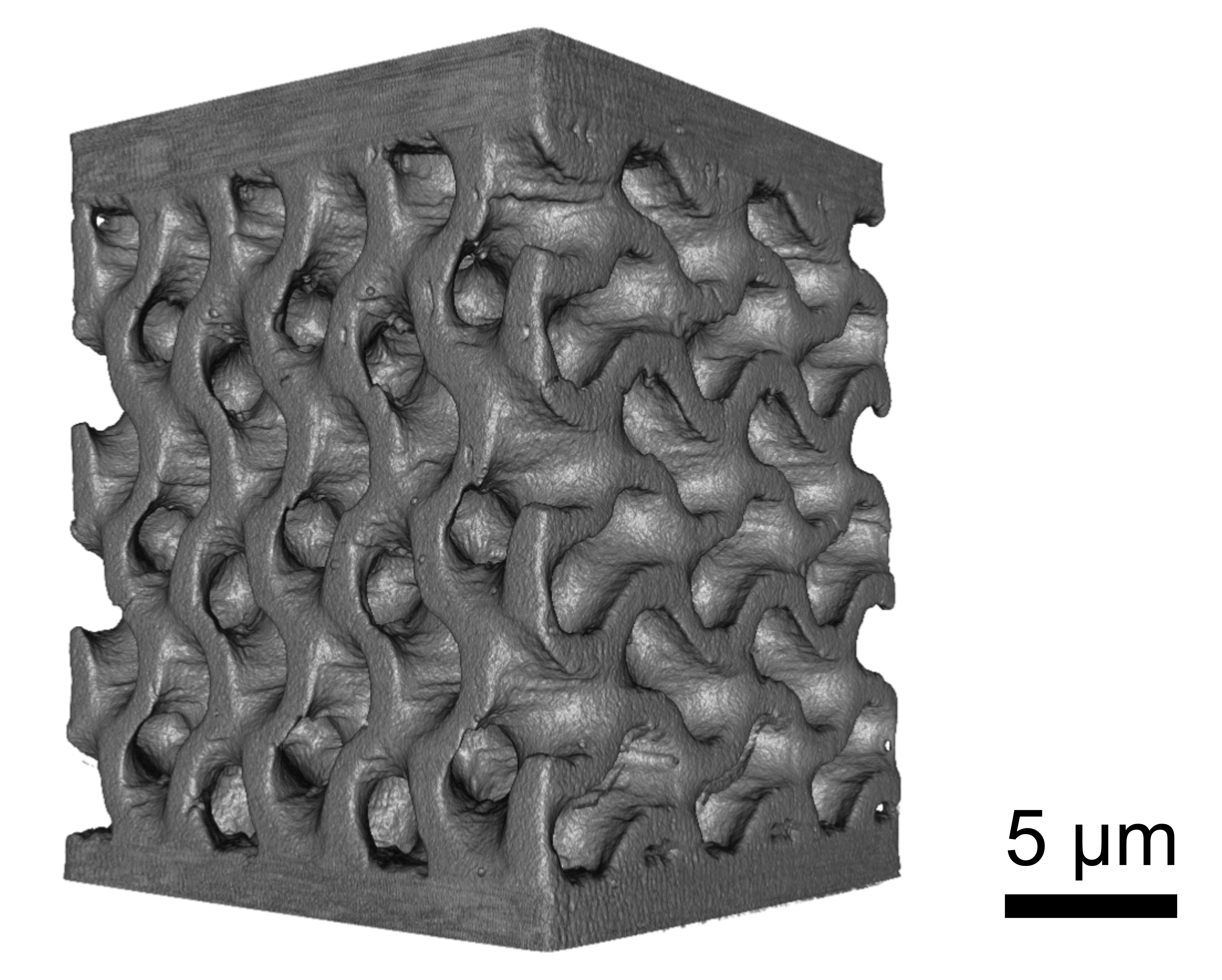 Figure5.jpg