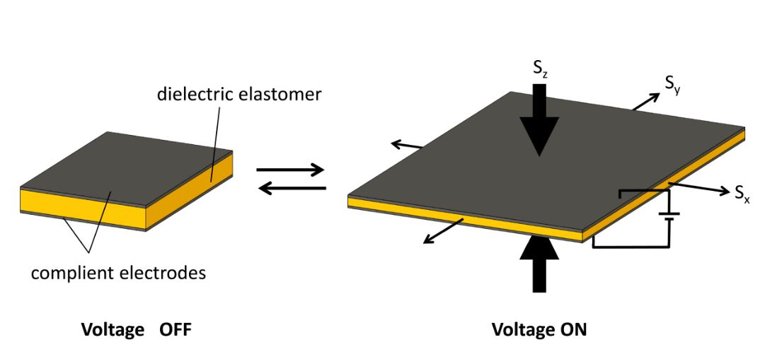 FunctionalDielectricEla.jpg