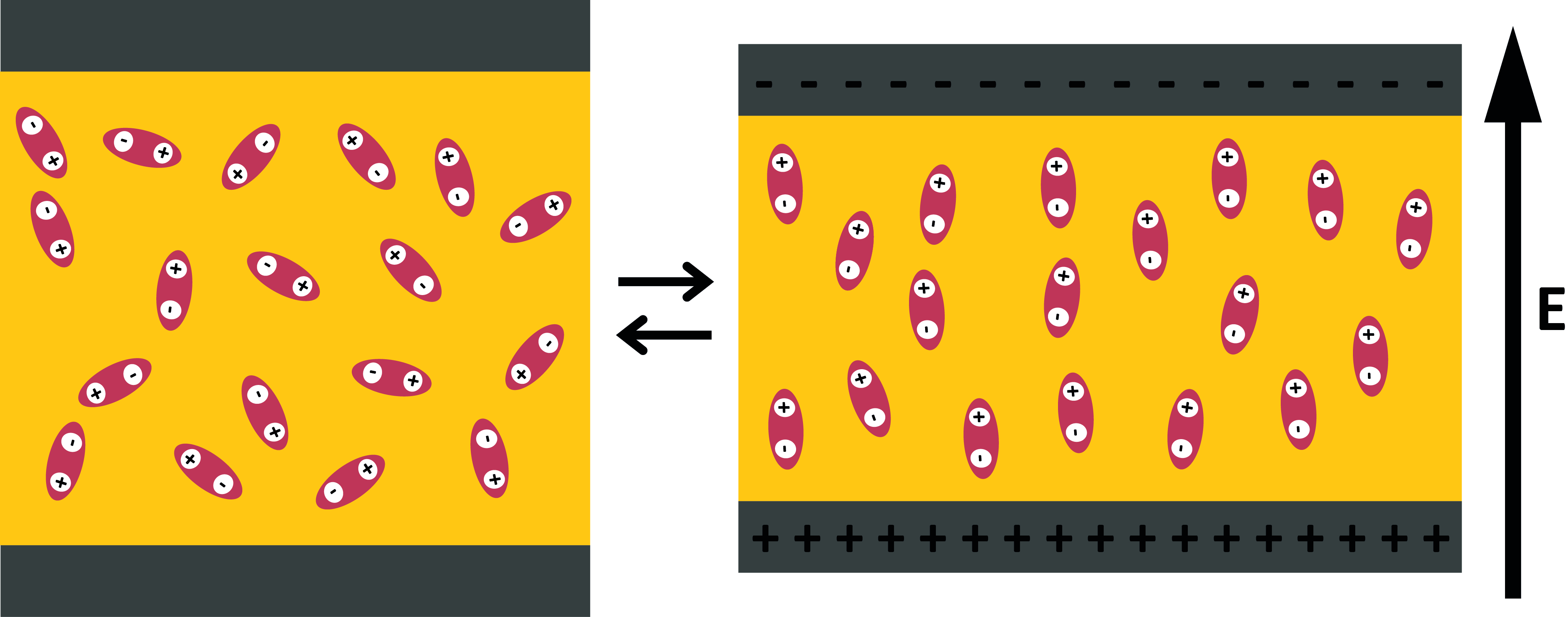 synthesisofelastimerswithhighxxxxxxjpg.jpg