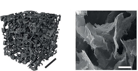 /documents/55926/76783/Microstructure_vdW_Ink_v02.jpg/2dac3c8c-beea-4e07-b80a-a8639fc2e4da?t=1643799180293