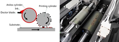 Flexo1_2.jpg