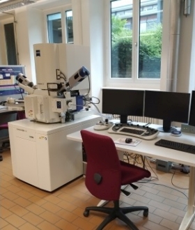 ZEISS_Gemini.jpg