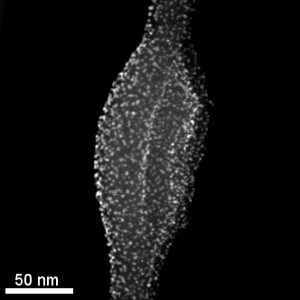 Catalysis_Tomo.gif