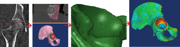 Fig+6+Schematic+illustration.jpg