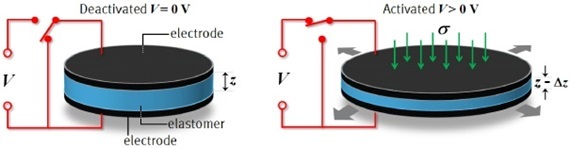 EAP+Bild+Nr+1E.jpg