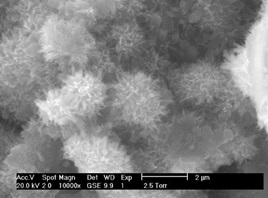 Overview-ESEM.jpg