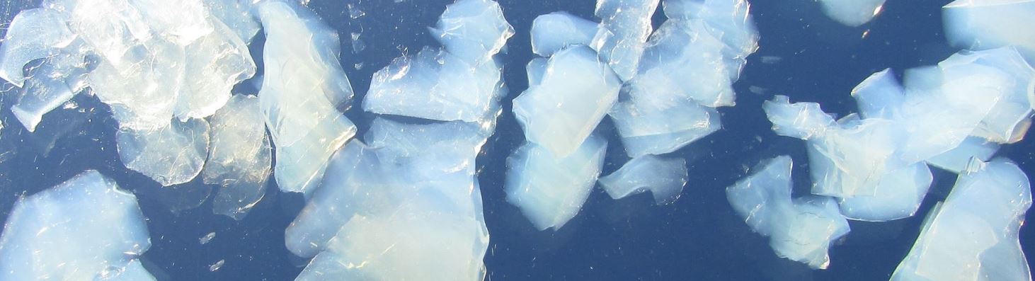 aerogel_granules_2.jpg
