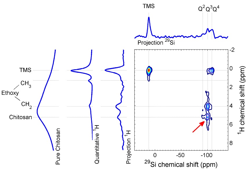12.01+AdvancedCharacerization_NMR_HetCorChitosan_update.jpg
