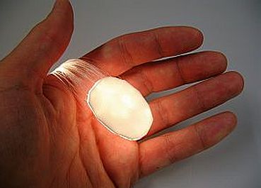 1_Protection+and+Physiology_KLP_401.jpg