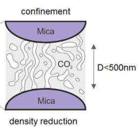 Fluid+Solid+Interphase+Density.jpg