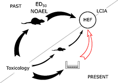 In+Vitro+LCIA.jpg