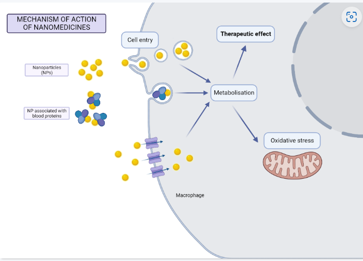 Mechanism+Nanomedicines.png