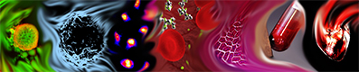 Banner+Small+particles3d.jpg