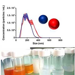 Pcharacterization+Lab.jpg