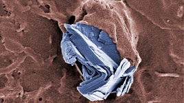 Graphene+ReviewArticle+News.jpg