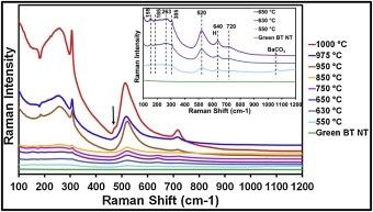 2020-BaTiO3nanotubes.jpg