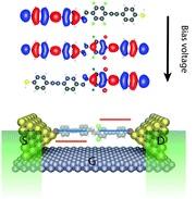 2020-single-molecule-funtionality.jpg