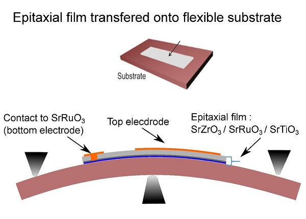 epitaxialfilmtransfered_600x430.jpg