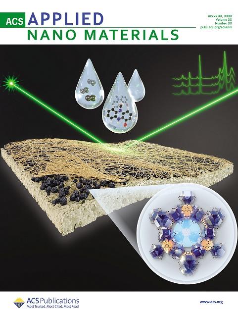 an2c05252_alt_cover_lores.jpg