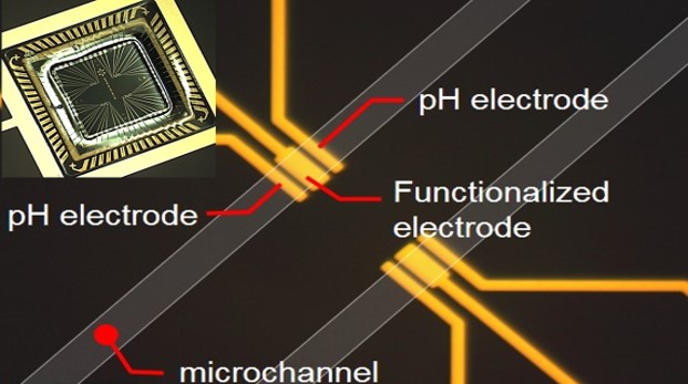 Nanowires+for+Biosensing+Icon.jpg