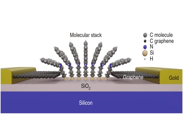Carbonbased_Oliver_Graphene_Junctions.jpg