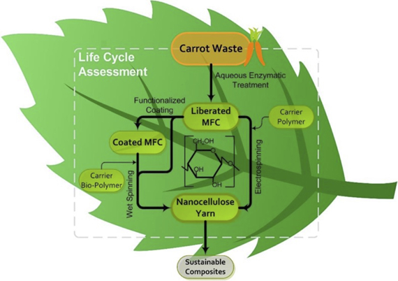 NanoCelluComp+Overview.jpg