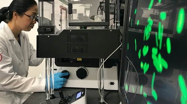 Nanosafety+research+without+animal+testing.jpg