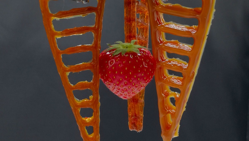 Stopperbild_FinRay_strawberry-6LoTSFu0.jpg