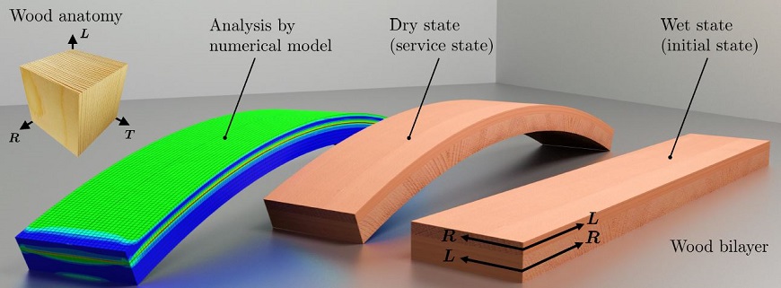 Bilayer_EN.jpg