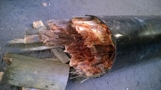 WP_20150408_004.jpg