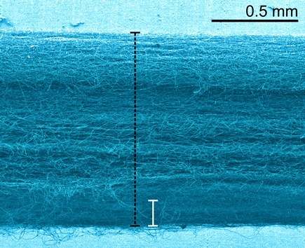 Auxetics_para1.jpg