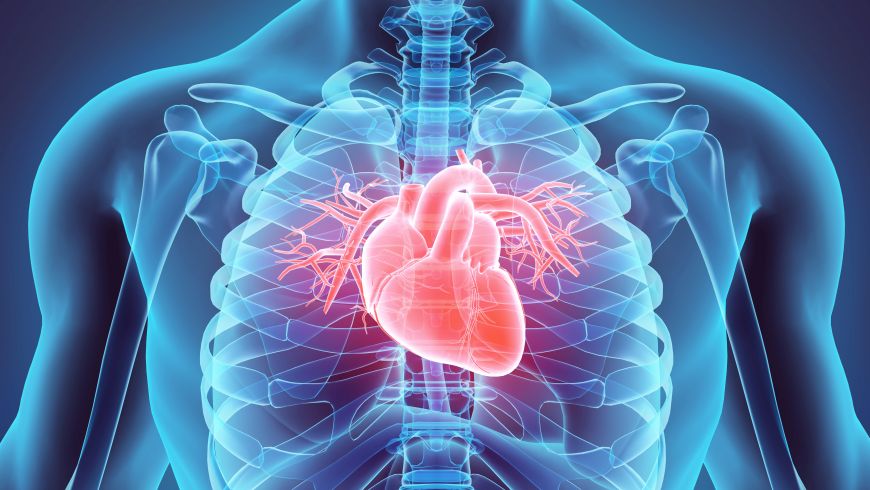 3D-illustration-of-Heart%2C-medical-concept.-530199842_7000x6000.jpg