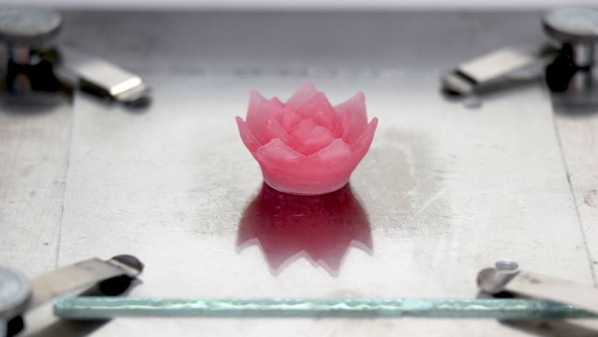 Aerogel-Bl%C3%BCte-auf-Glas-web.jpg