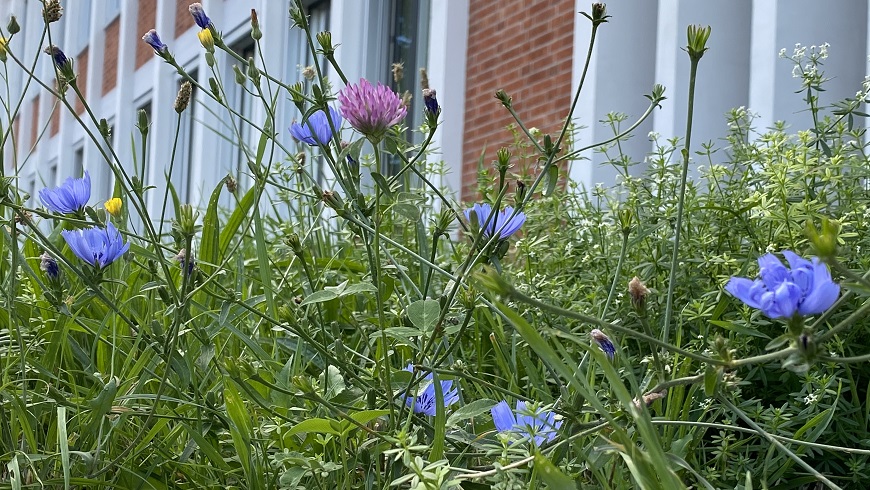 Natur+Wirtschaft+Stopperbild.jpg