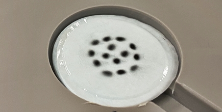 Bremsstaub_para4.jpg