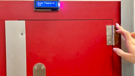 Transparent+security+para+red+door+435.jpg