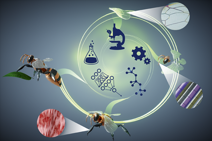 Materials+Intelligence+Para+Biene.png