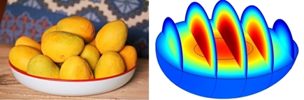 EQ71+digital+twin+mango+kombi+435.jpg