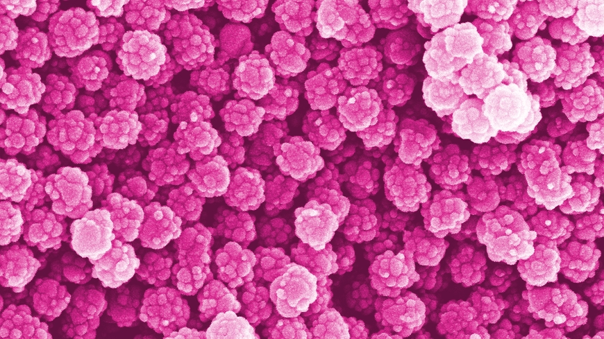 nanoplastic+stopper+150tsd.jpg