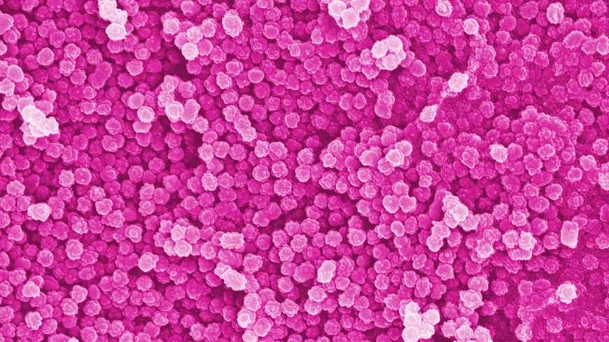 nanoplastic+stopper+50tsd.jpg